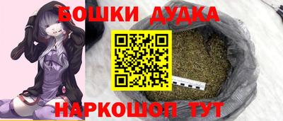 spice Камышлов